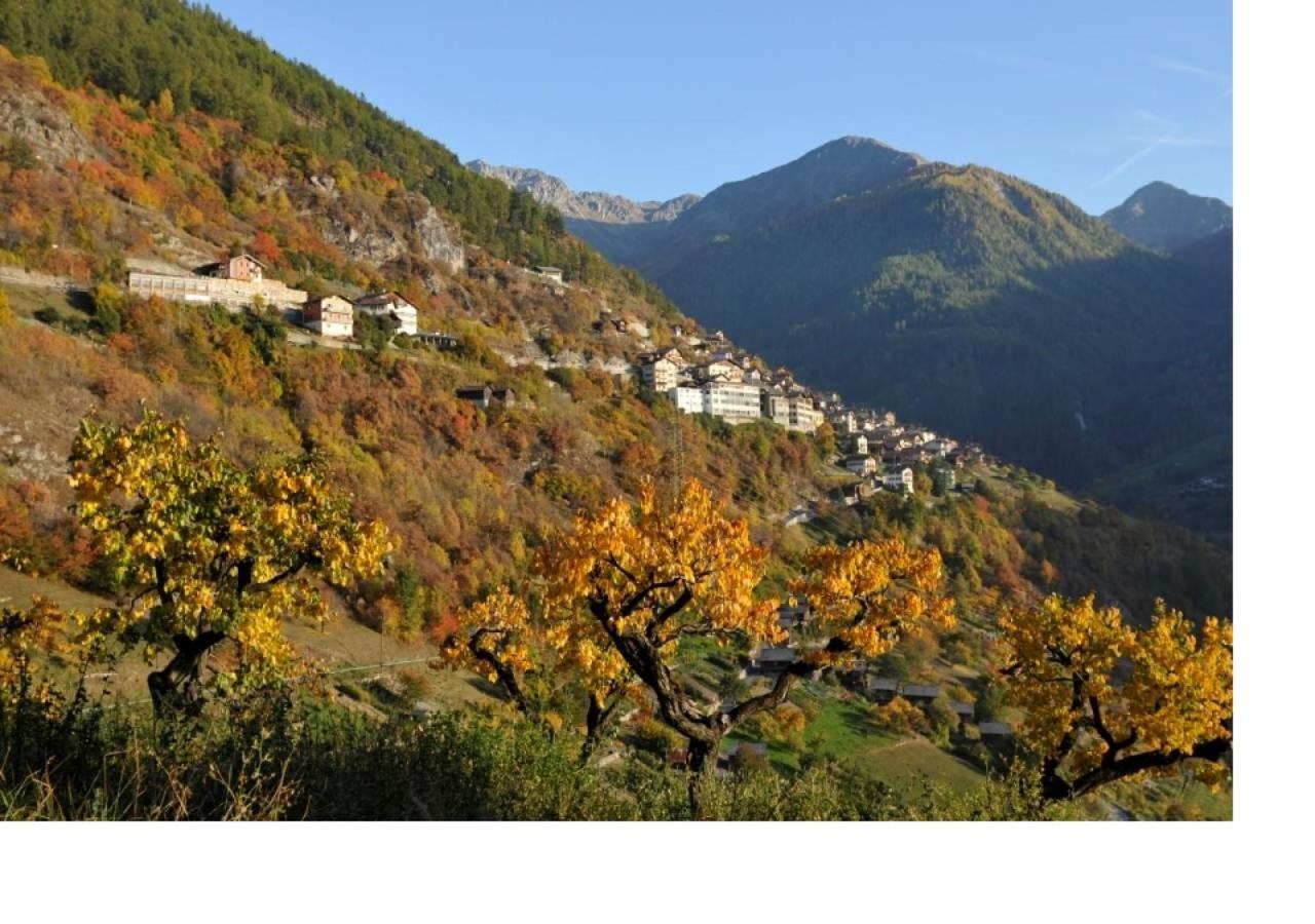 Le Cocon Du Catogne Proche Martigny Verbier - Netflix - Valettes Экстерьер фото